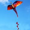 Outdoor Colorful 3D Dragon Flying Kite with 100m Tail Line Children Kids Toys