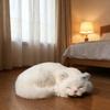 Bebek ve Peluş Oyuncaklar – Doldurulmuş ve Peluş oyuncak hayvanlar