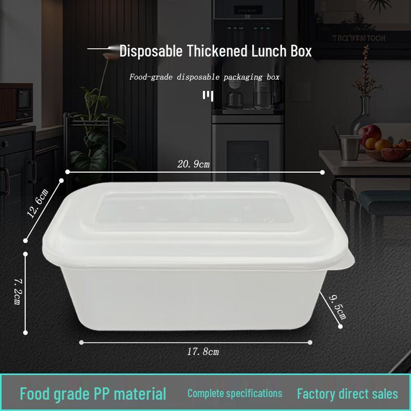 Disposable Plastic Rectangular Lunch Box