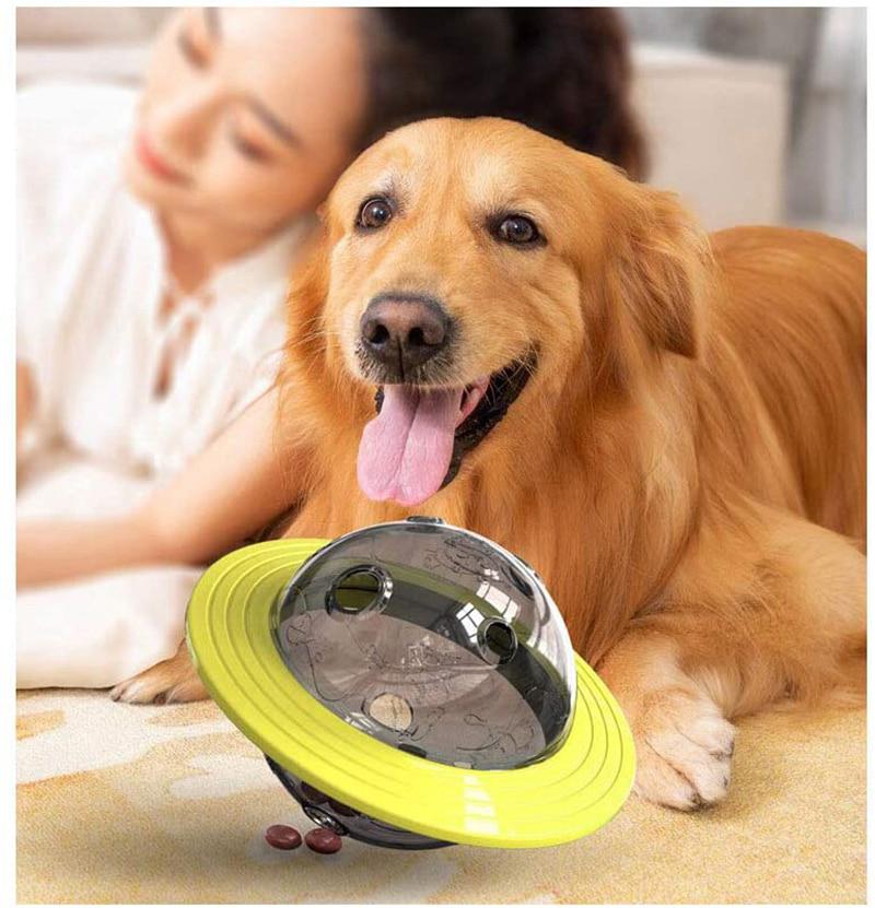 durable interactive dog toys