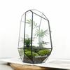 Micro Ecological Geometric Glass Terrarium Handmade Geometric Plant Vase Modern Planter for Moss Succulents Tabletop Greenhouse