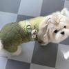 Winter Dog Hiking Jacket Windproof Dog Vest Coat Fashion Pet Clothes  for Small Medium Dog
