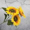3 Heads/Bunch Decorative Wedding Decor DIY Craft Fake Flores Bouquet Artificial Flower Silk Sunflower Home Accessory 2024