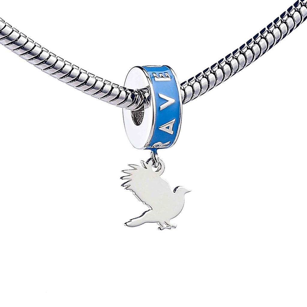 Harry Potter sterling silver Ravenclaw house slidercharm