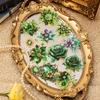 30Pcs Gem Blooming Series Sticker Pack Vintage Flower Scrapbooking Material Label DIY Decorative Journal Planner Stationery
