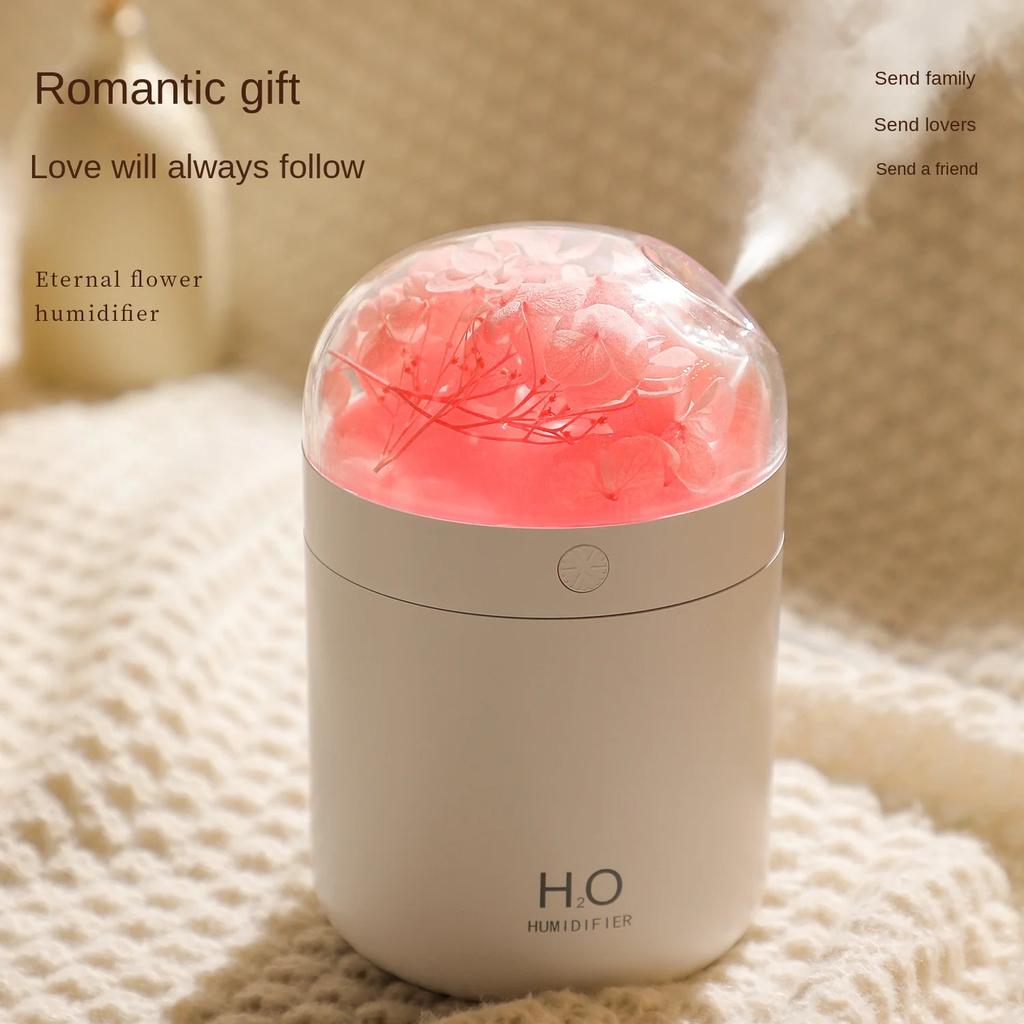 Aeonium Humidifier Mini Home Bedroom Hydration Desktop Sprayer Aromatherapy Ambient Light Humidifiers Difuser Essential Oil