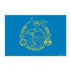 Wizarding World Ravenclaw Door Mat