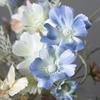 Artificial Single Stem Cosmos Flower Decoration for Home, Weddings, and Photography