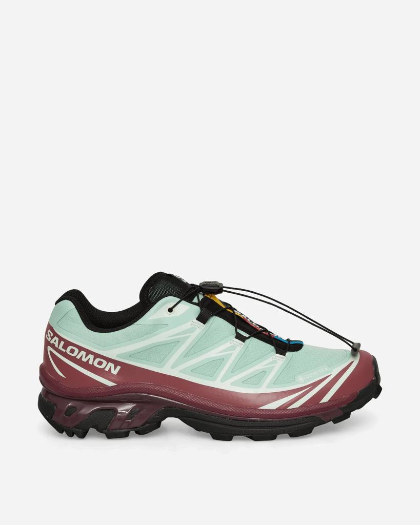 L49306700 Salomon XT-6 GORE-TEX "Lichen/Nocturne" (Men's)