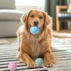 Pet Toy Molar Teeth Cleaning Hollow Bone Design Thickened Bite-Resistant TPR Material Chew Toy with Built-in Sound Ball