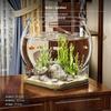 Round PET Desktop Fish Container, Sturdy Eco Aquatic Habitat, Turtle Bowl, Clear 32x27.5cm Tank Only