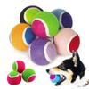 TMZ Hard Ball Dog Chew Toys 2 Pack Tough Chewing Balls for Small Dogs Puppy Teething Training Interactive Pet Dental Toys