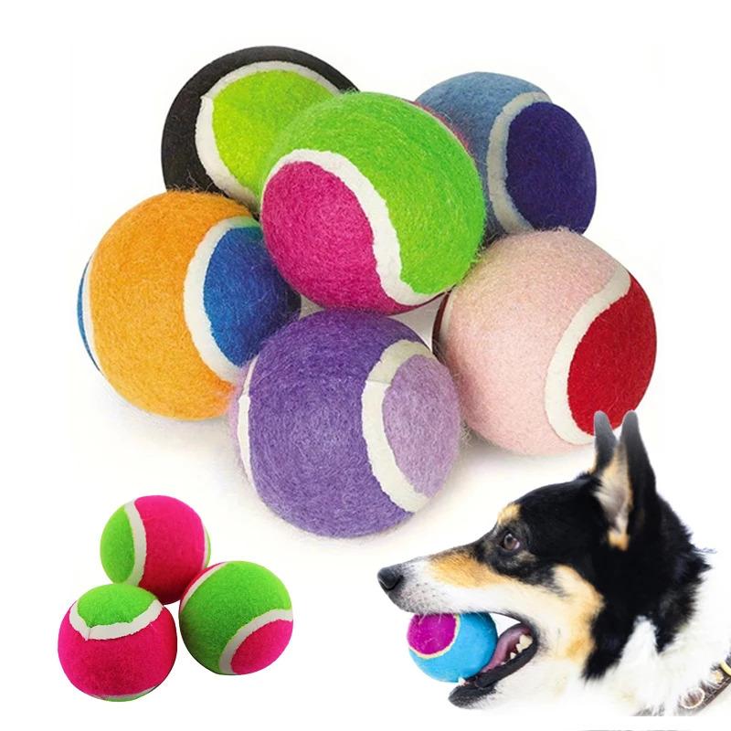 TMZ Hard Ball Dog Chew Toys 2 Pack Tough Chewing Balls for Small Dogs Puppy Teething Training Interactive Pet Dental Toys