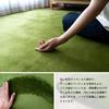 Sayan Sayan Washable Microfiber Rug, Nagomi, 190x190cm, 2 Tatami Mats, Olive, Foldable