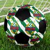 SIZE 5 Rapid Vienna Soccer Ball Colorful All Ages Machine Stitched PVC Competition Ready Durable High-Bounce