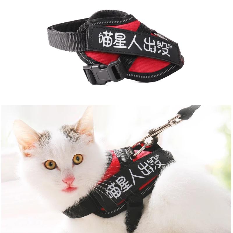cat chest harness
