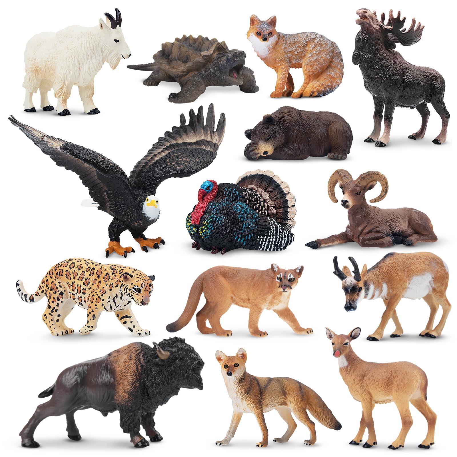 

TOYMANY Набор из 14 мини-фигурок диких животных Северной Америки, Реалистичные модели животных джунглей, Фигурки бурого медведя и лося, Популярная игрушка, Подарок на день рождения,