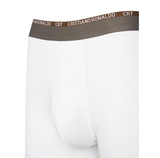 Cuecas Cristiano Ronaldo CR7 8100-49