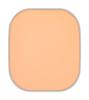 Kate Powder Foundation Secret Skin Maker Zero 02 Standard Skin