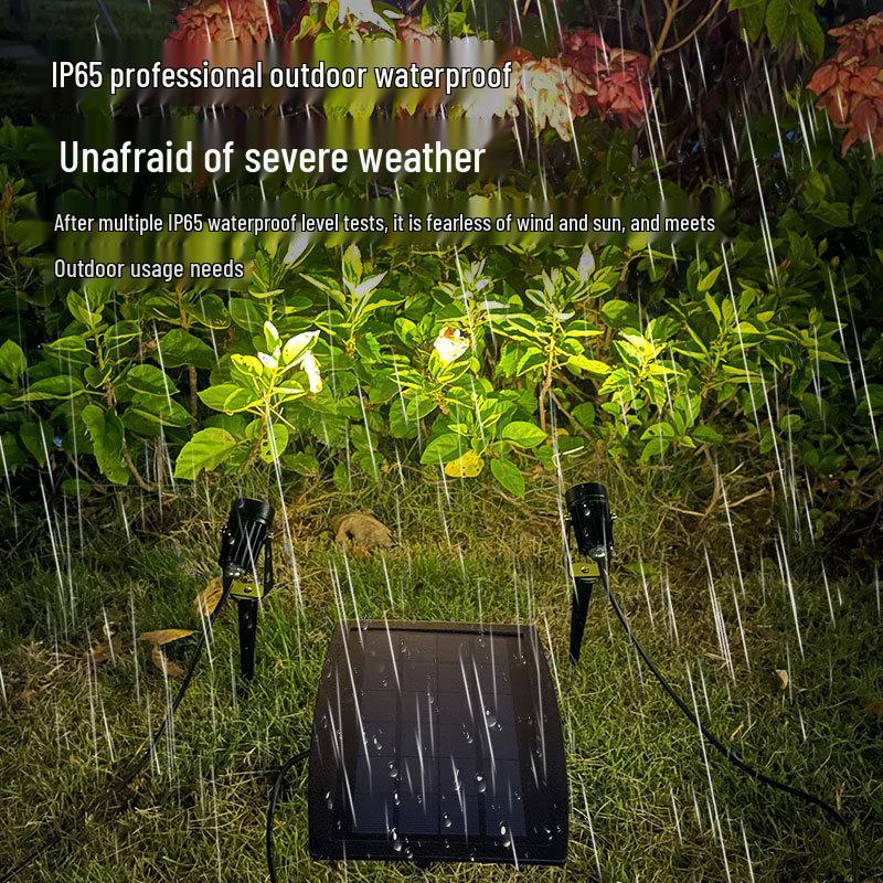 Dual Solar LED Lawn Spotlights with Light Control for Outdoor Gardens
