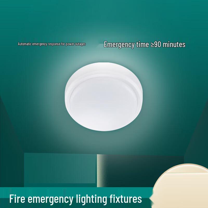 

Smart Evacuation LED Emergency Ceiling Light 5W
