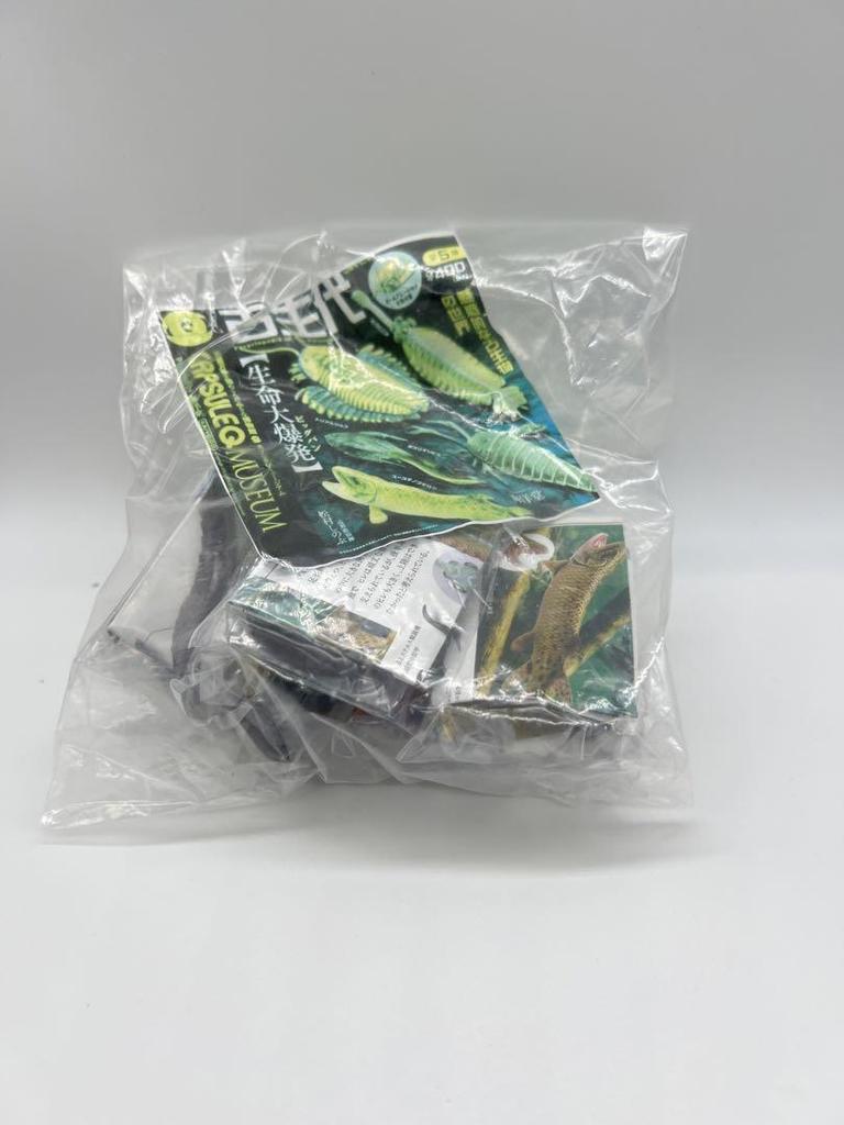 [USED] Paleozoic Explosion of Life