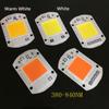 220v Led Floodlight 20w 30w 50w White Warm Light Cob Chip Integrated Smart Ic Driver Lamp