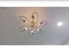 Elegant Ceiling Flush Mount Light Pendant Mid Century Modern Raw Brass Sputnik Chandelier Light Fixture