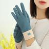 Solid Color Winter Velvet Gloves Thicken  Gloves Elegant Plush Mittens  Cycling