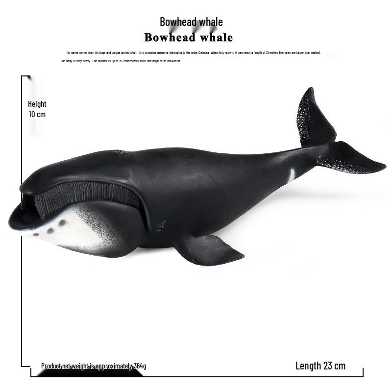 Marine Animal Model Toys: Bowhead Whale, Sperm Whale, Shark Figurines for Early Education