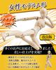 CHALAN Drawing Articulated Figure with Stand by Professional Manga Full Body Human Anatomy Drawing Base Muscular Drawing Character Sketch Female Skin