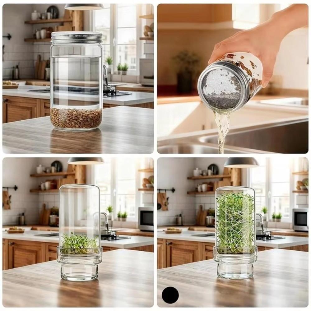 Drain Cover Mason Jar Sprouting Lid Kit Clear Glass Microgreen Sprouting Jar  Kitchen Countertop