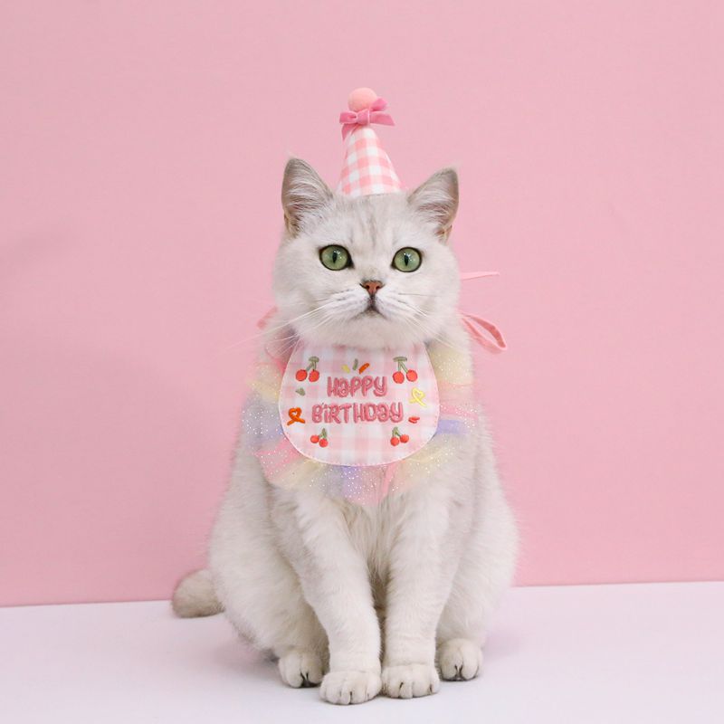 

Pet Birthday Hat Bib Party Hat Cat Puppy Lace Saliva Towel Dog Bandana Scarf Dog Birthday Dress Up Photography Props Supplies