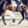 4/8pcs Portable Dressage Letter Cones Equestrian Athletes Training Cones Event Stable Training Cones Easy to Set Up