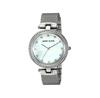 Часы Anne Klein AK-2973MPSV