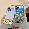 Daisy Phone Case For IPhone 16,15,14,13,12,11,XS,XR,X,8,7,Pro,Max,Plus,mini Silicone Black Cover