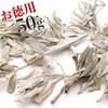 White Sage with White Sage from California [GOLD STONE] Branches, Cluster, Unsorted, 50g, Pesticide-free,