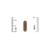 Alta Health Herbal Silica with Bioflavonoids, 120 Tablets