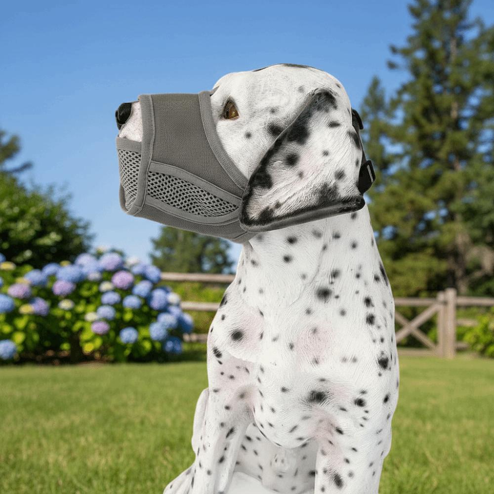 Breathable Dog Mesh Muzzle Prevent Barking Dog Muzzle Buckle Pet Training Muzzle  Dog Walking