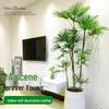 Jingshan Large Brown Bamboo Indoor Plant – Floor-Standing Greenery for Living Room, Formaldehyde Absorbent & Easy Care All Seasons