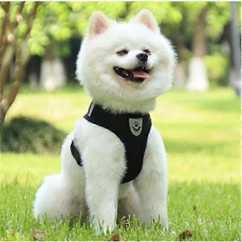 1-Set No-Pull Reflective Dog Harness and Leash Set, Escape-Proof Soft Step-In Vest for Small & Medium Puppies