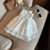 Ballet-Inspired High Waist A-Line Lace Chiffon Skirt for Women