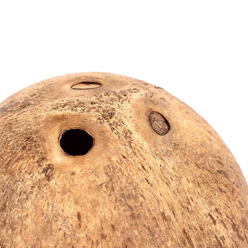 Polished Wooden Hideout Nest for Hamsters, Parrots, and Birds