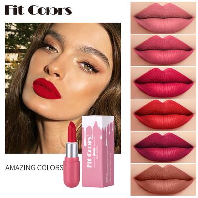 Mini Rossetto Capsula 6 Colori Finish Vellutato Opaco Resistente al Trasferimento Formula Idratante Lunga Durata per Uso Quotidiano Viaggio Coreano