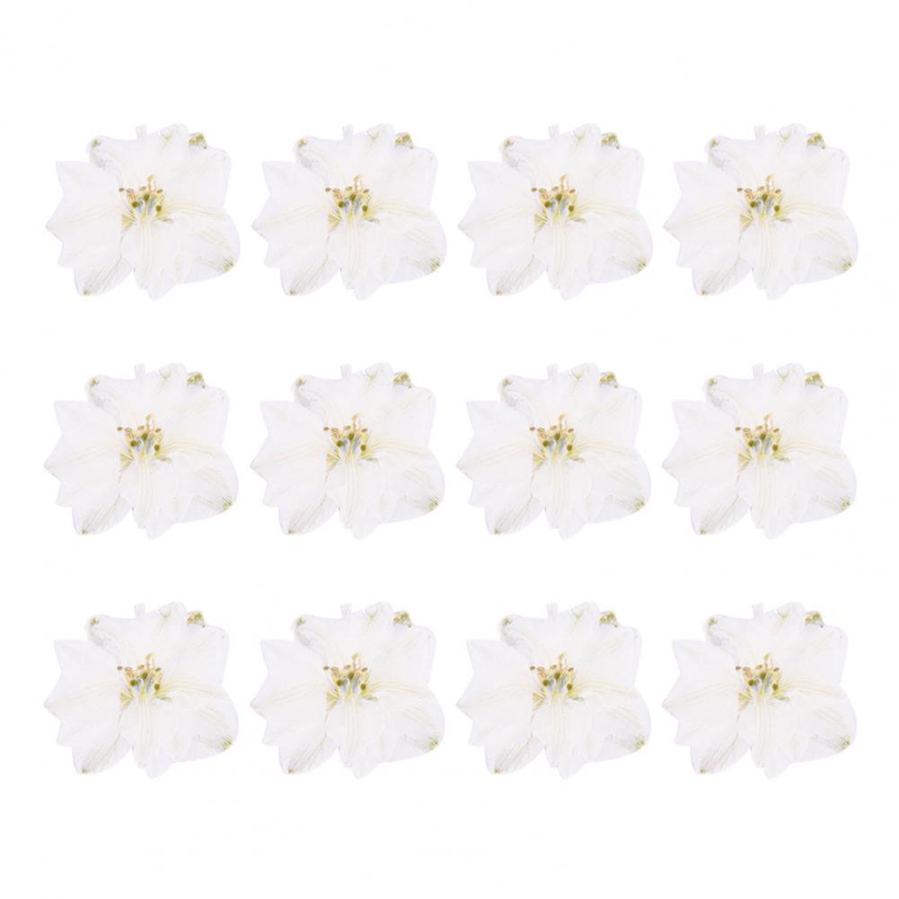 12Pcs Flowers Decoration High Imitation Bright Color Dried Flowers Dried Pressed Flowers for Nail Sticker Floral Decors