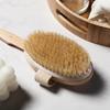 Wooden Soap Box Shower Brush Set Natural Bristle Detachable Long Handle for Back Exfoliating Massager Bathroom Accessories Set