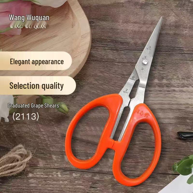 Wang Wuquan Stainless Steel Gardening & Pruning Shears - Straight Head, Ideal for Grapes & Vegetables