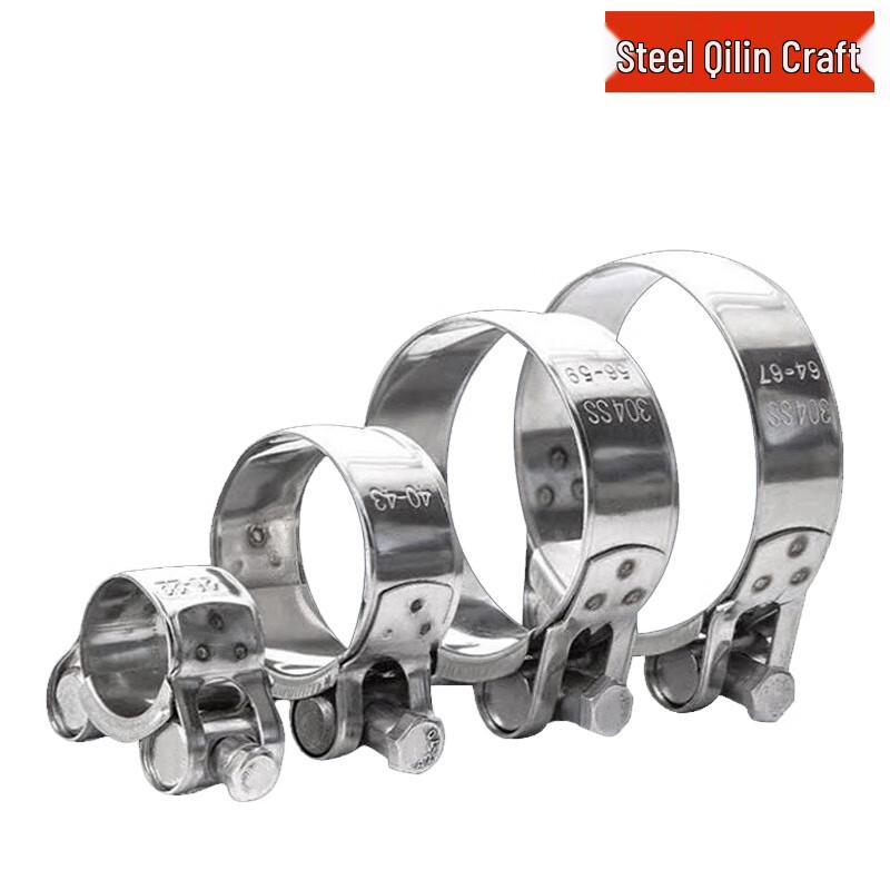 Stainless Steel European Style Hose Clamp 48-51mm