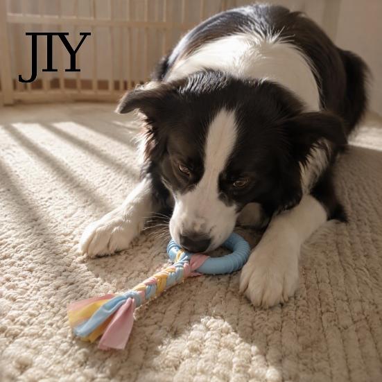 Boredom Buster for Dogs Dog Tug-of-War Toy, Rubber Ring with Braided Cloth Strips, Interactive Safe Non-Toxic Chewing Rings Chew Toy Small to
