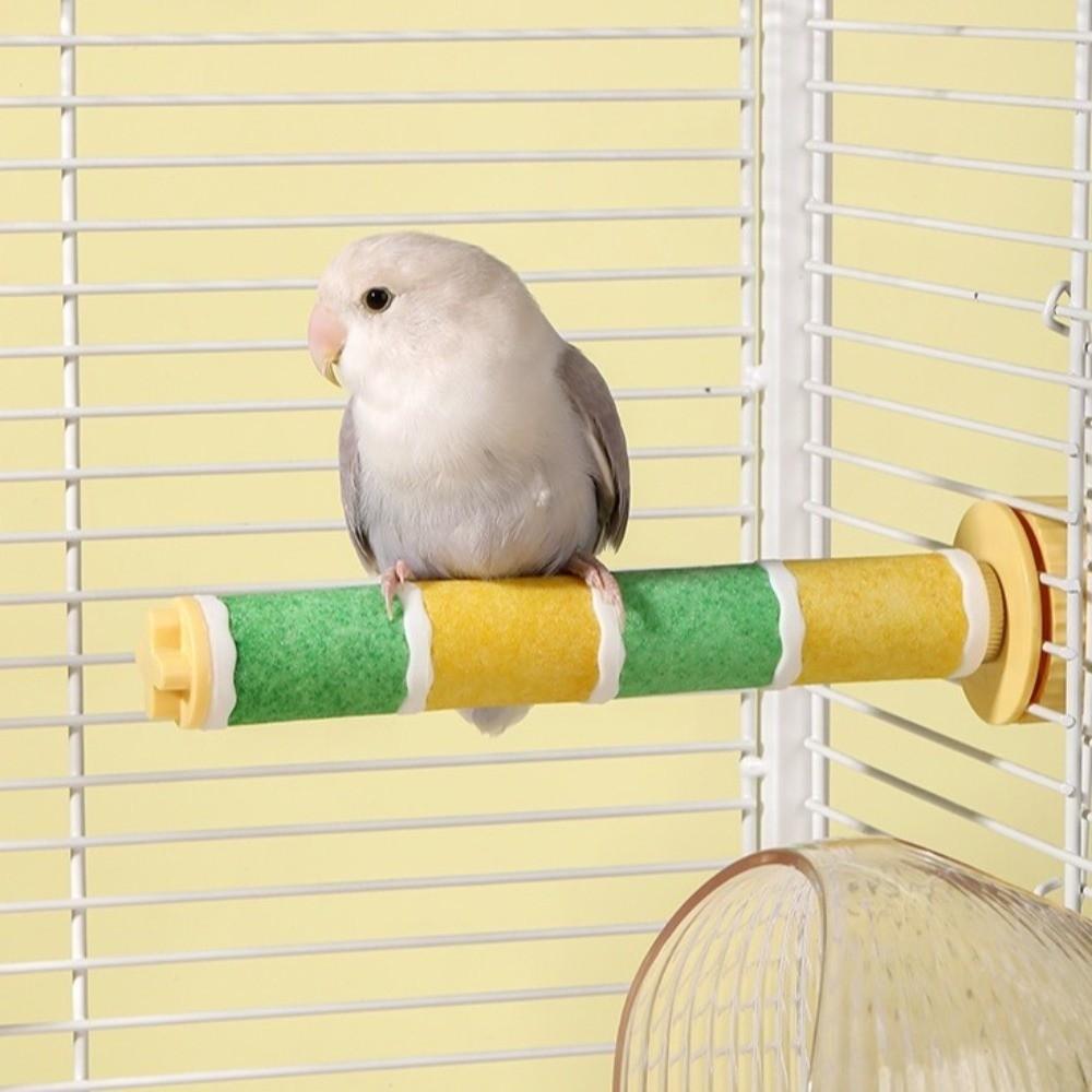 Wear-resistant Parrot Perching Station Rack Frosted Bird Teeth Chew Pole Easy Installation